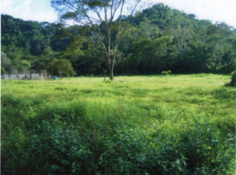 Foto Terreno en Venta en Jacó, Puntarenas - U$D 110.000 - TEV1224 - BienesOnLine