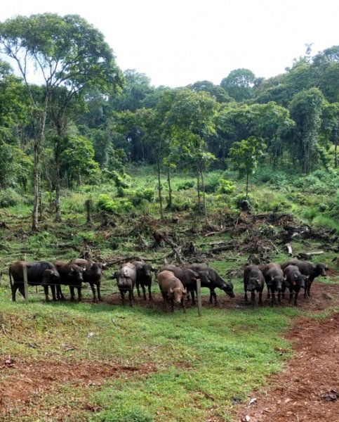 Finca en Venta en  Puerto Viejo, Heredia