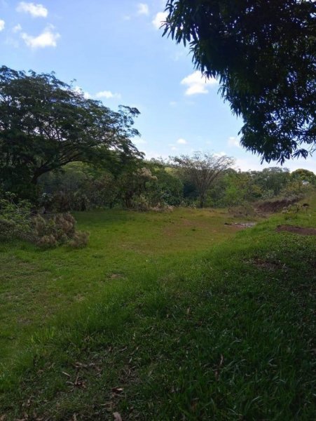 PRECIOSA FINCA CASÍ EN EL CENTRO DE BUENOS AÍRES, ZONA SUR, PUNTARENAS.