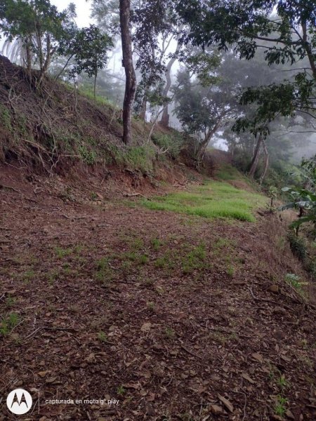 Finca en Venta en La Cruz Acosta, San José