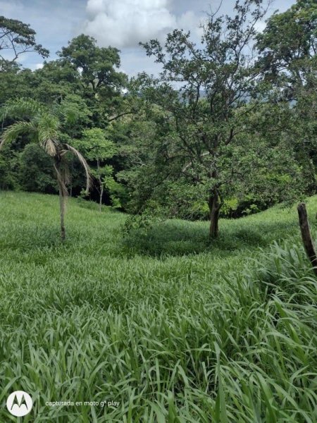 PRECIOSA FINCA EN TOLEDO DE ACOSTA, SAN JOSÉ.