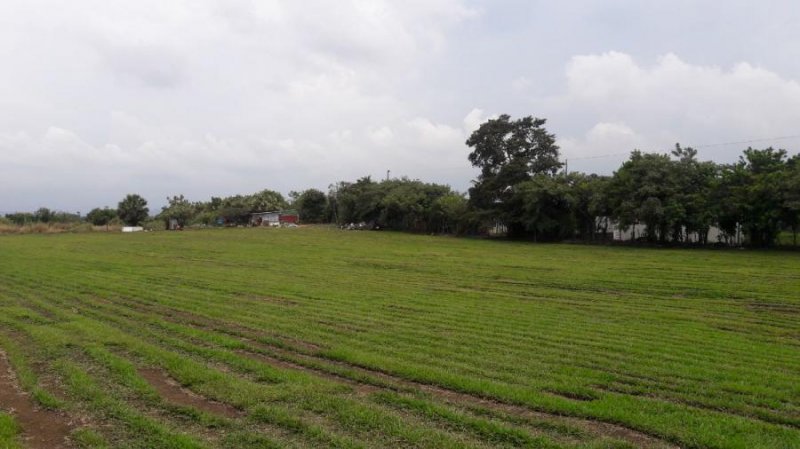 Terreno en Alquiler en  Alajuela, Alajuela