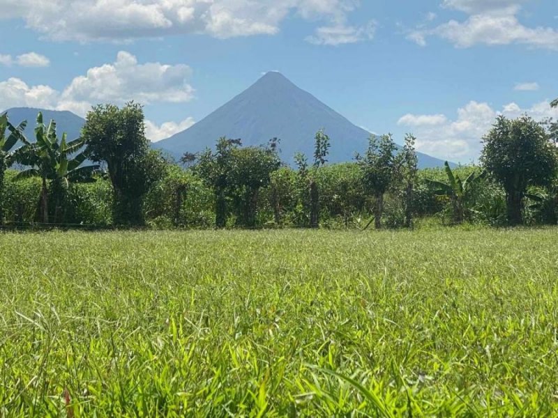 Preventa Exclusiva! Cuatro Propiedades Majestuosas en La Fortuna de San Carlos, Alajuela