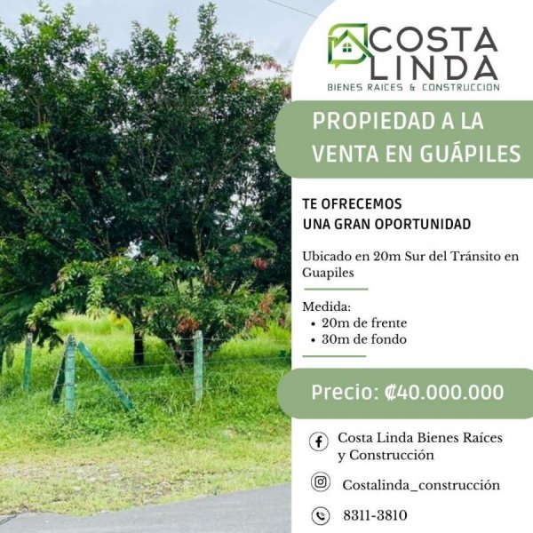 Foto Terreno en Venta en Guápiles, Guápiles, Limón - ¢ 40.000.000 - TEV96559 - BienesOnLine