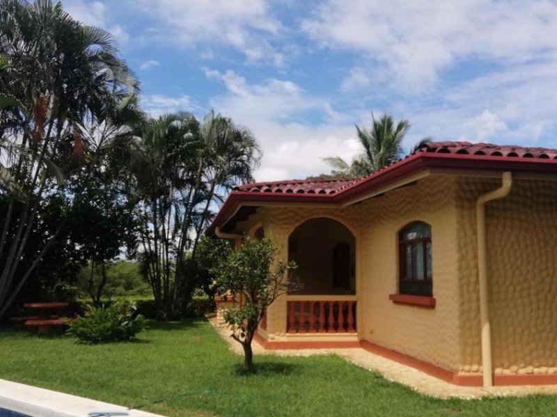 Foto Local en Venta en Brasil, Santa Ana, San José - U$D 1.850.000 - LOV48107 - BienesOnLine