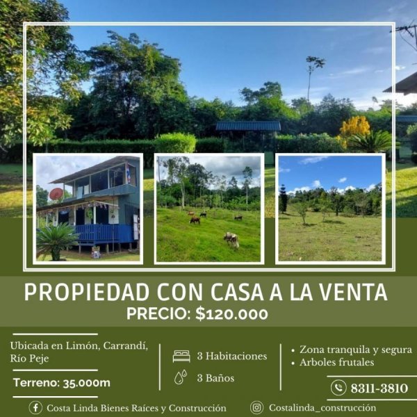 Foto Terreno en Venta en Carrandí, Guápiles, Limón - U$D 120.000 - TEV94955 - BienesOnLine