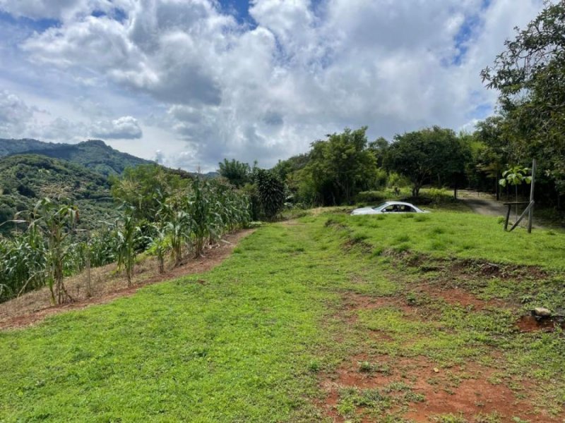 Propiedad con ubicacion privilegiada, hermosas vistas, agua potable.