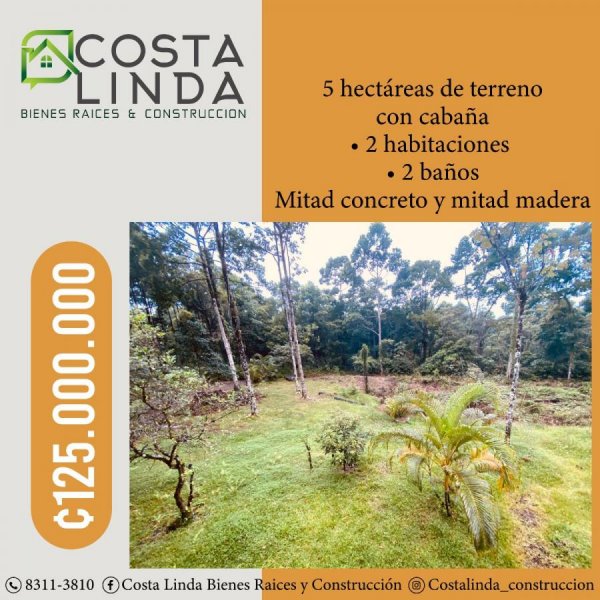 Foto Local en Venta en Guápiles, Pococí, Limón - 5 hectareas - ¢ 125.000.000 - LOV62890 - BienesOnLine