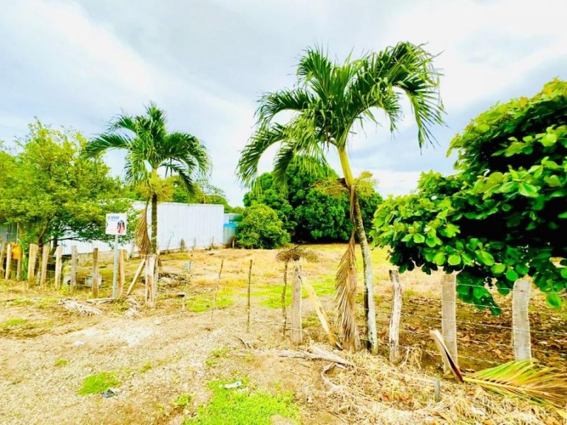 Foto Terreno en Venta en Tamarindo Guanacaste, Guanacaste - U$D 130.000 - TEV93309 - BienesOnLine