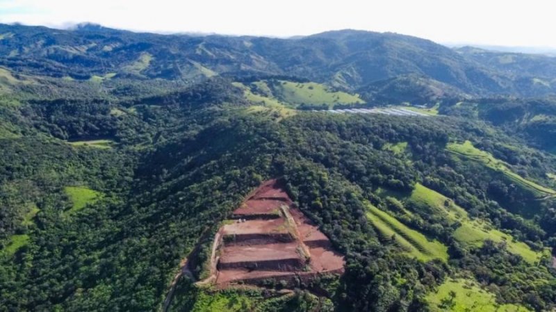 PROPIEDAD IDEAL PARA HOTEL, RESTAURANTE- CON ESPECTACULAR VISTA DEL GOLFO DE NICOYA