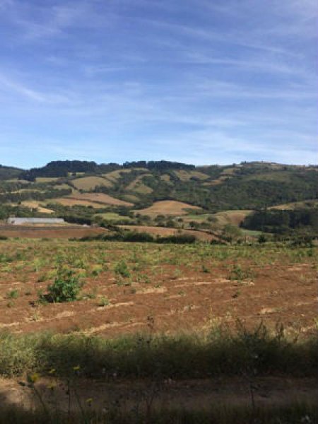 Terreno en Venta en  San Nicolás, Cartago