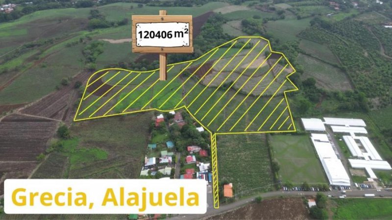 Terreno en Venta en  Grecia, Alajuela