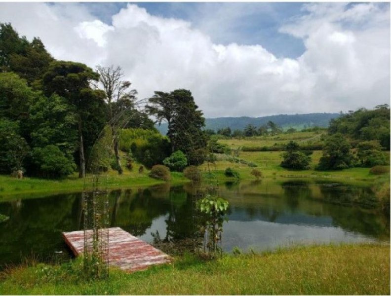 Foto Terreno en Venta en Poás, Alajuela - U$D 3.778.152 - TEV88650 - BienesOnLine