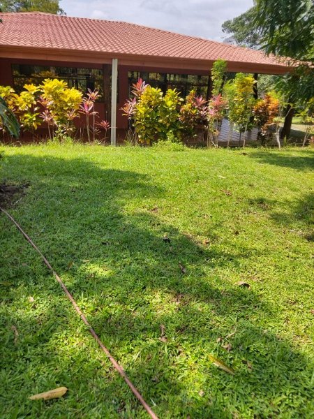 Foto Casa en Venta en Mastate, Alajuela - U$D 1.655.000 - CAV97362 - BienesOnLine