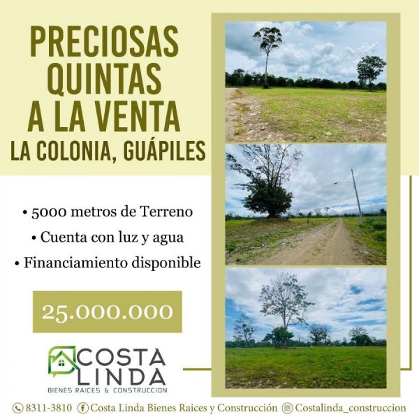 Foto Terreno en Venta en La Colonia, Guapiles, Limón - ¢ 25.000.000 - TEV64750 - BienesOnLine