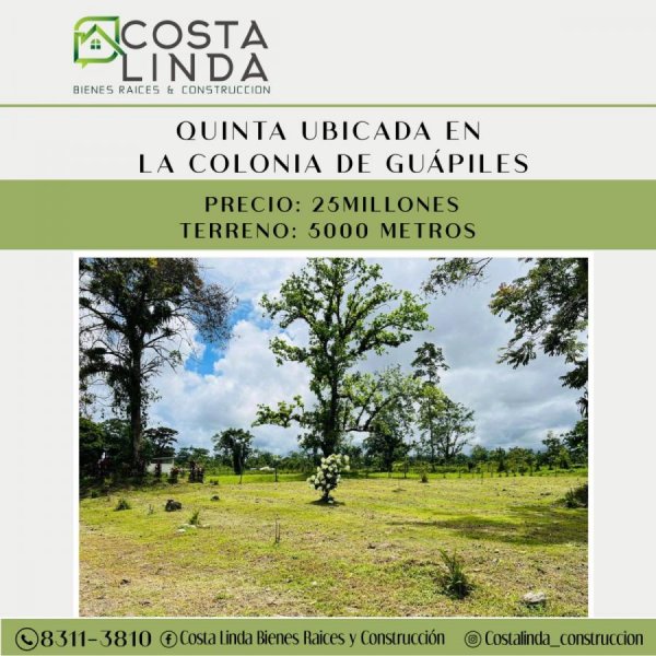 Foto Terreno en Venta en La Colonia, Pococí, Limón - ¢ 25.000.000 - TEV64844 - BienesOnLine