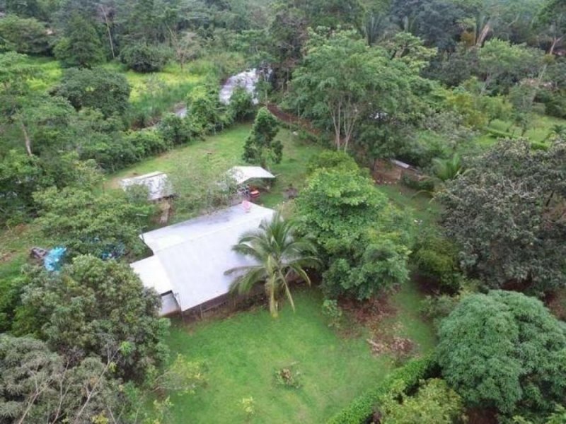 Foto Casa en Venta en San Ramón, Alajuela - ¢ 40.000.000 - CAV69798 - BienesOnLine