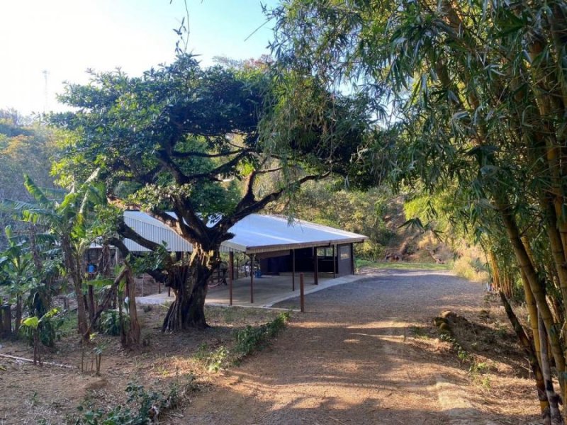 Foto Finca en Venta en Santiago de San Ramon, San Ramón, Alajuela - ¢ 60.000.000 - FIV93933 - BienesOnLine