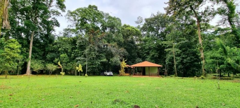 Foto Terreno en Venta en Guápiles, Limón - ¢ 82.500.000 - TEV40664 - BienesOnLine