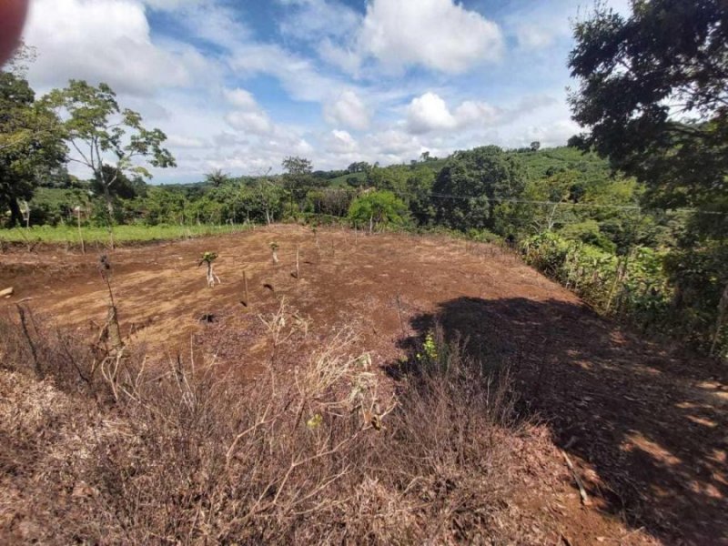 Foto Terreno en Venta en Aguas Zarcas, Alajuela - U$D 40.000 - TEV30286 - BienesOnLine