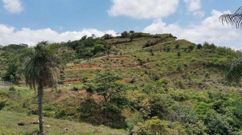 Foto Terreno en Venta en Orotina, Alajuela - U$D 113.293 - TEV42893 - BienesOnLine