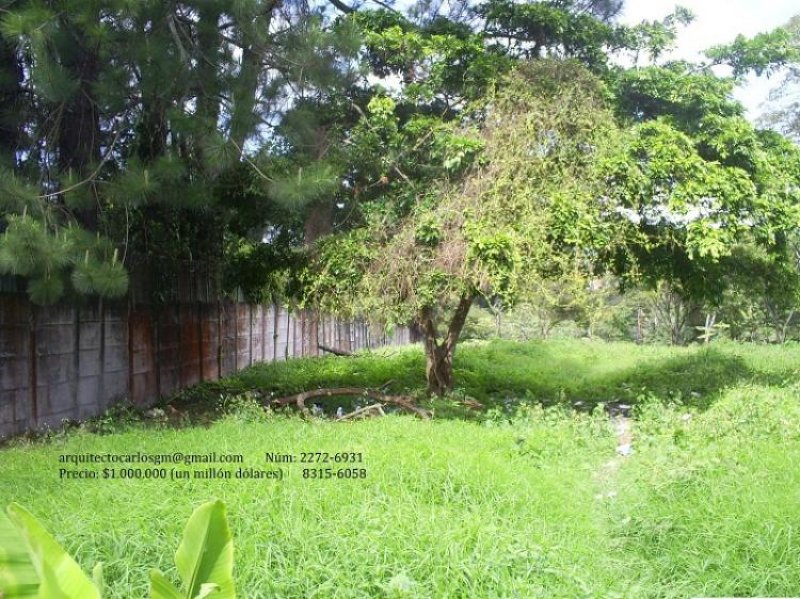 Foto Terreno en Venta en Granadilla, San José - 1 hectareas - U$D 1.000.000 - TEV2393 - BienesOnLine