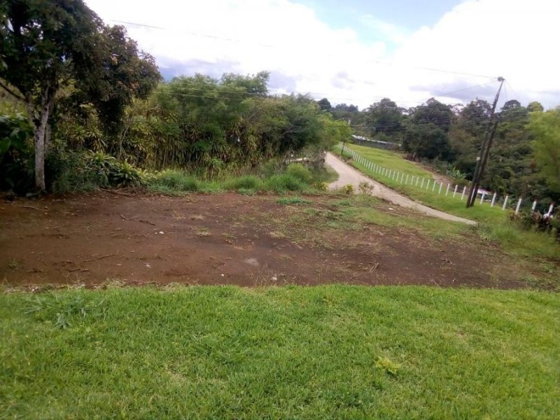 Foto Terreno en Venta en Santa Teresa, Coto Brus, Puntarenas - ¢ 3.500.000 - TEV47932 - BienesOnLine