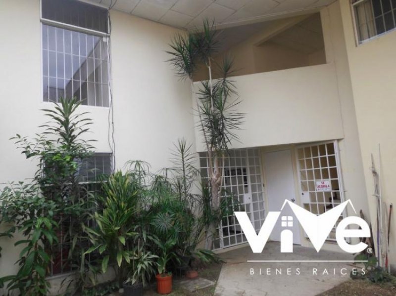 Foto Apartamento en Alquiler en San José, Zapote, San José - ¢ 400.000 - APA8324 - BienesOnLine