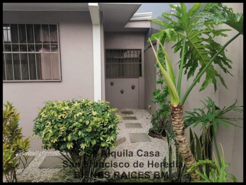 Casa en Alquiler en San Francisco de Heredia Heredia, Heredia