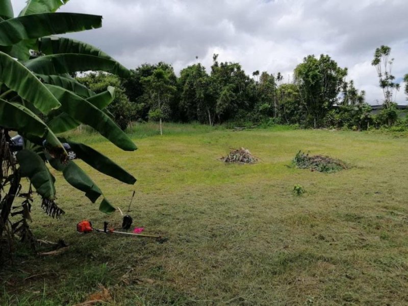 Foto Terreno en Venta en La Cocaleca, Palmares, Alajuela - ¢ 50.000.000 - TEV93896 - BienesOnLine