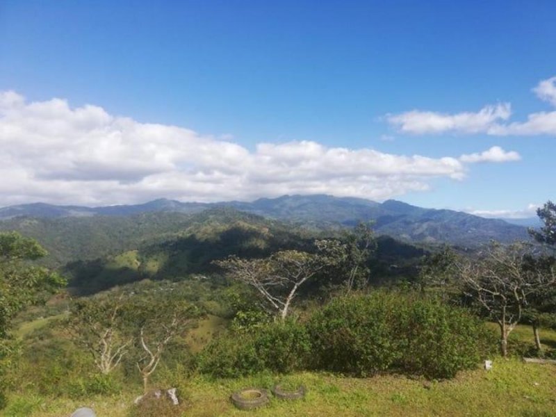 Terreno en Venta en  Mora, San José