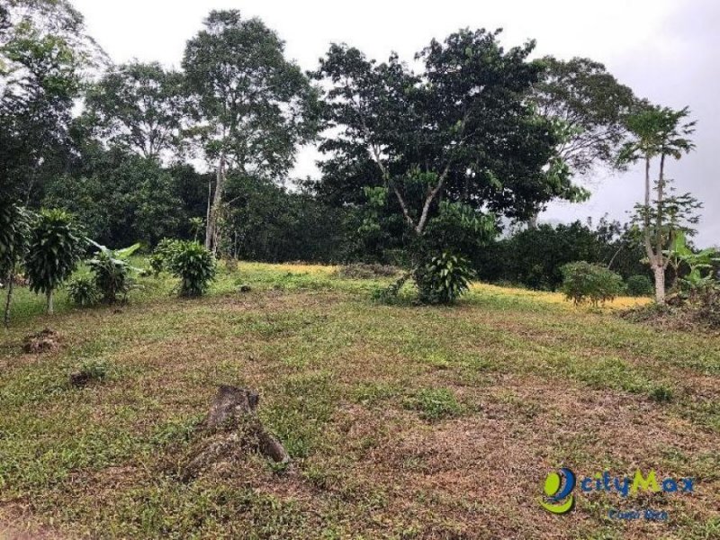 Foto Terreno en Venta en Atenas, Alajuela - ¢ 70.000.000 - TEV91194 - BienesOnLine