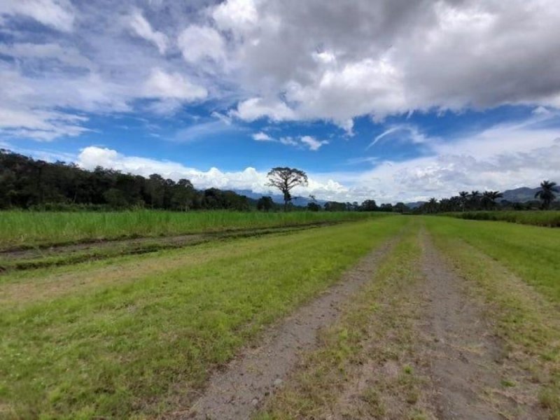 Terreno en Venta en  Turrialba, Cartago