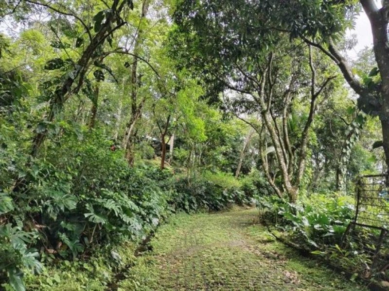 Terreno en Venta en  Mora, San José