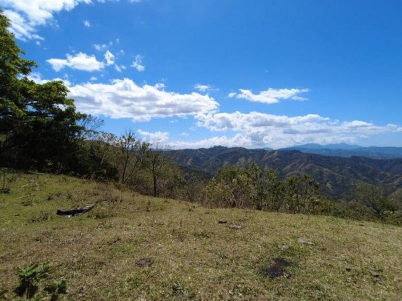 Terreno en Venta en  Mora, San José