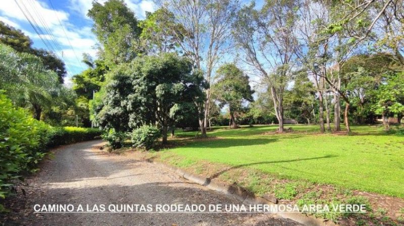 Terreno en Venta en  Naranjo, Alajuela