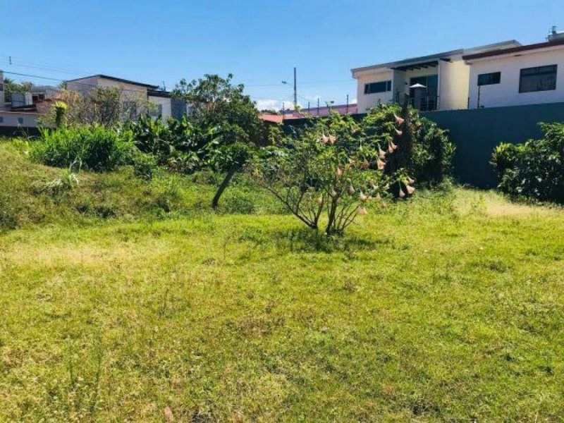 Terreno en Venta en  Mercedes, Heredia