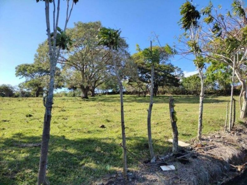 Foto Terreno en Venta en San Rafael, Heredia - ¢ 183.999.999 - TEV97542 - BienesOnLine