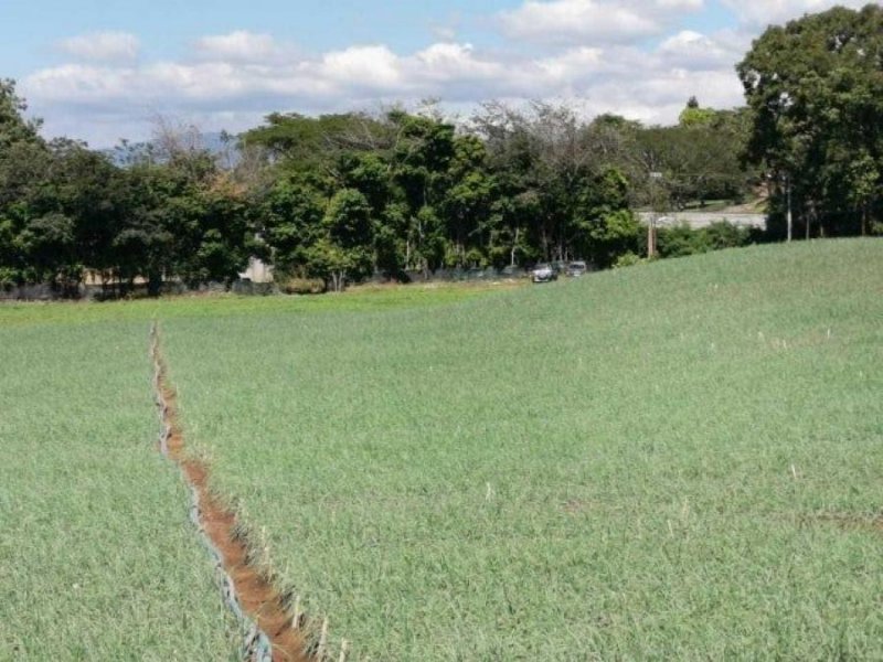 Terreno en Venta en  San Rafael, Alajuela