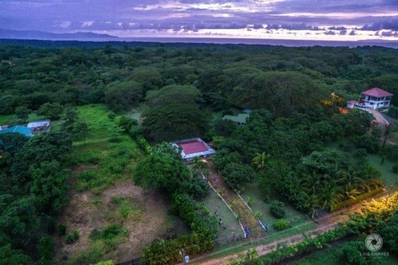 Foto Terreno en Venta en Garabito, Puntarenas - ¢ 65.000.000 - TEV102366 - BienesOnLine