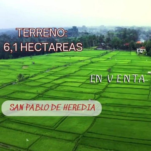 Foto Terreno en Venta en San Pablo, Heredia - U$D 3.400.000 - TEV102199 - BienesOnLine