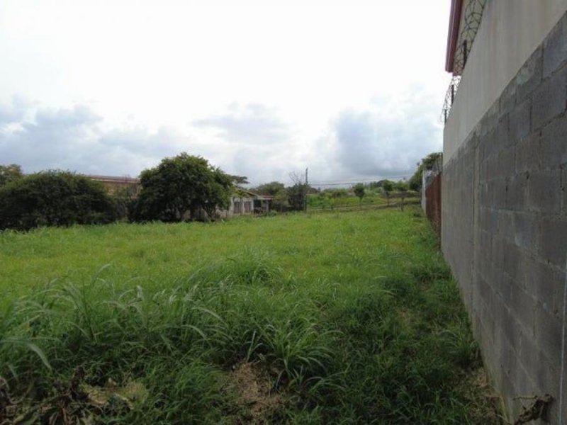 Terreno en Venta en  Heredia, Heredia