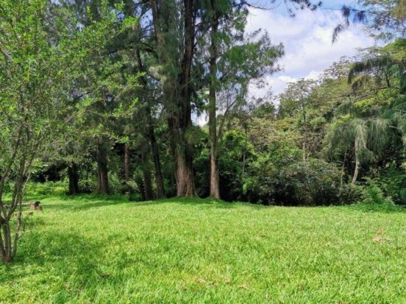 Terreno en Venta en  San Rafael, Alajuela