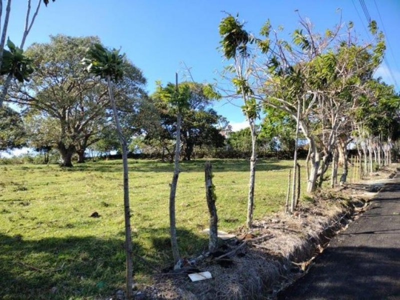 Foto Terreno en Venta en San Rafael, Heredia - ¢ 137.999.999 - TEV102047 - BienesOnLine