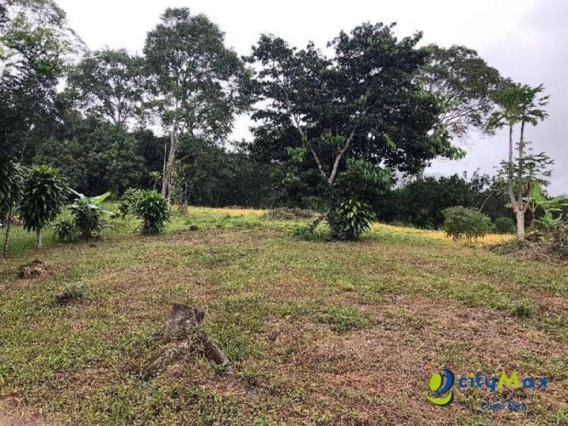 Foto Terreno en Venta en Los Angeles, Atenas, Alajuela - ¢ 120.000.000 - TEV91266 - BienesOnLine