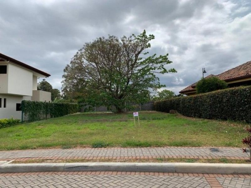 Terreno en Venta en San Miguel Santo Domingo, Heredia