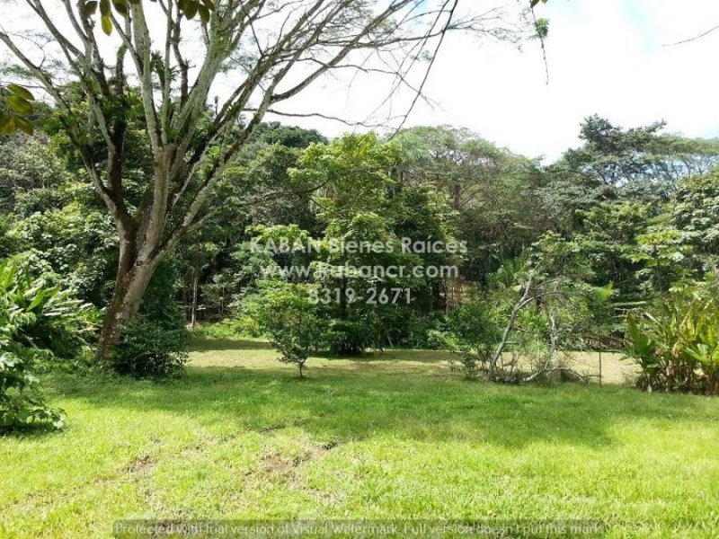 Terreno en Venta en Quebrada Ganado Garabito, Puntarenas