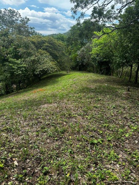 Terreno en Venta en Piedras Negras. Mora, San José