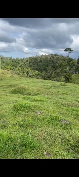 Finca en Venta en Pacuarito Siquirres, Limón