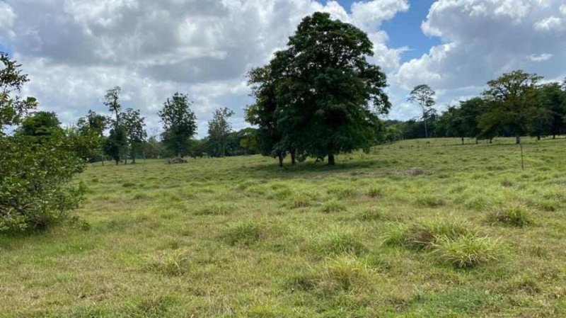 SE VENDE BELLA Y ÚTIL FINCA EN TICABÁN, GUÁPILES.